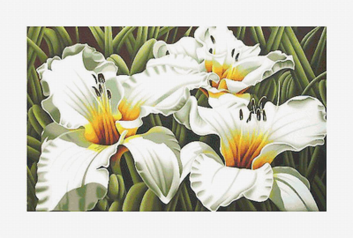 Серия "Лилии" - лилии, флора, цветы - предпросмотр