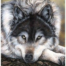 Схема вышивки «волк»