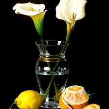 Схема вышивки «№1725741»