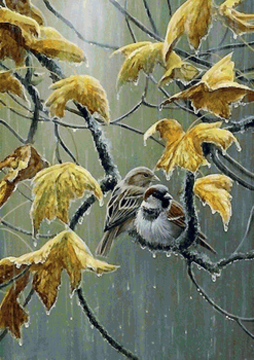 птицы - птицы, дождь - предпросмотр