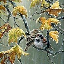 Схема вышивки «птицы»