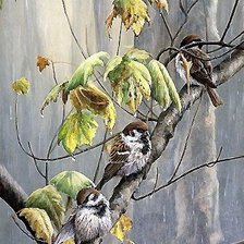 Схема вышивки «птицы»