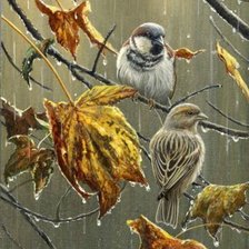 Схема вышивки «птицы»