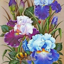 Схема вышивки «kosatce»