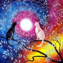 Схема вышивки «obrázok,mačky»