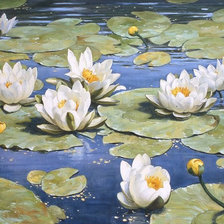 Схема вышивки «водяные цветы»