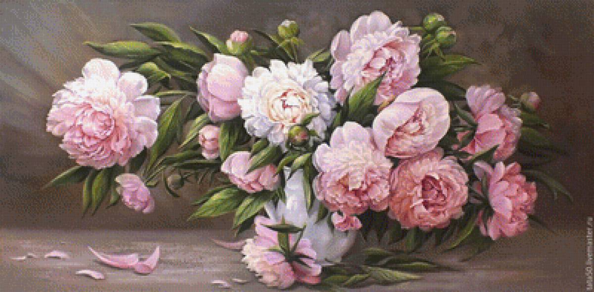 пионы - предпросмотр