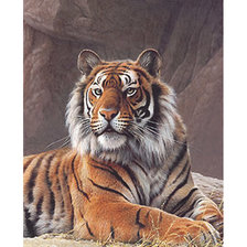 Схема вышивки «Серия "Хищники". Тигр»
