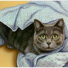 Схема вышивки «кот»