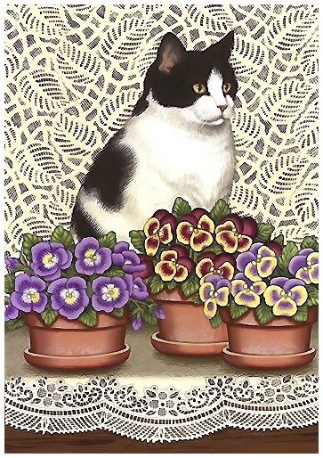 кот - кот - оригинал