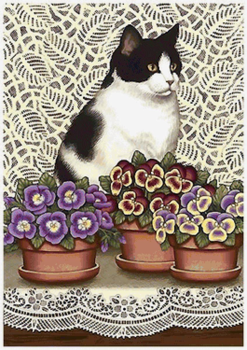 кот - кот - предпросмотр