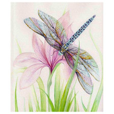 Стрекоза и ирис