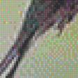 Предпросмотр схемы вышивки «Колибри» (№1726589)