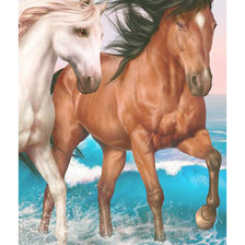 Схема вышивки «Серия "Кони". Пара.»