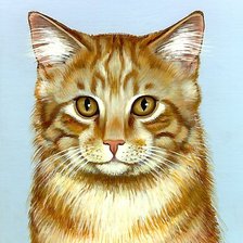 Схема вышивки «кот»