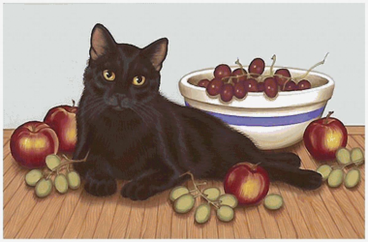 кот - кот - предпросмотр