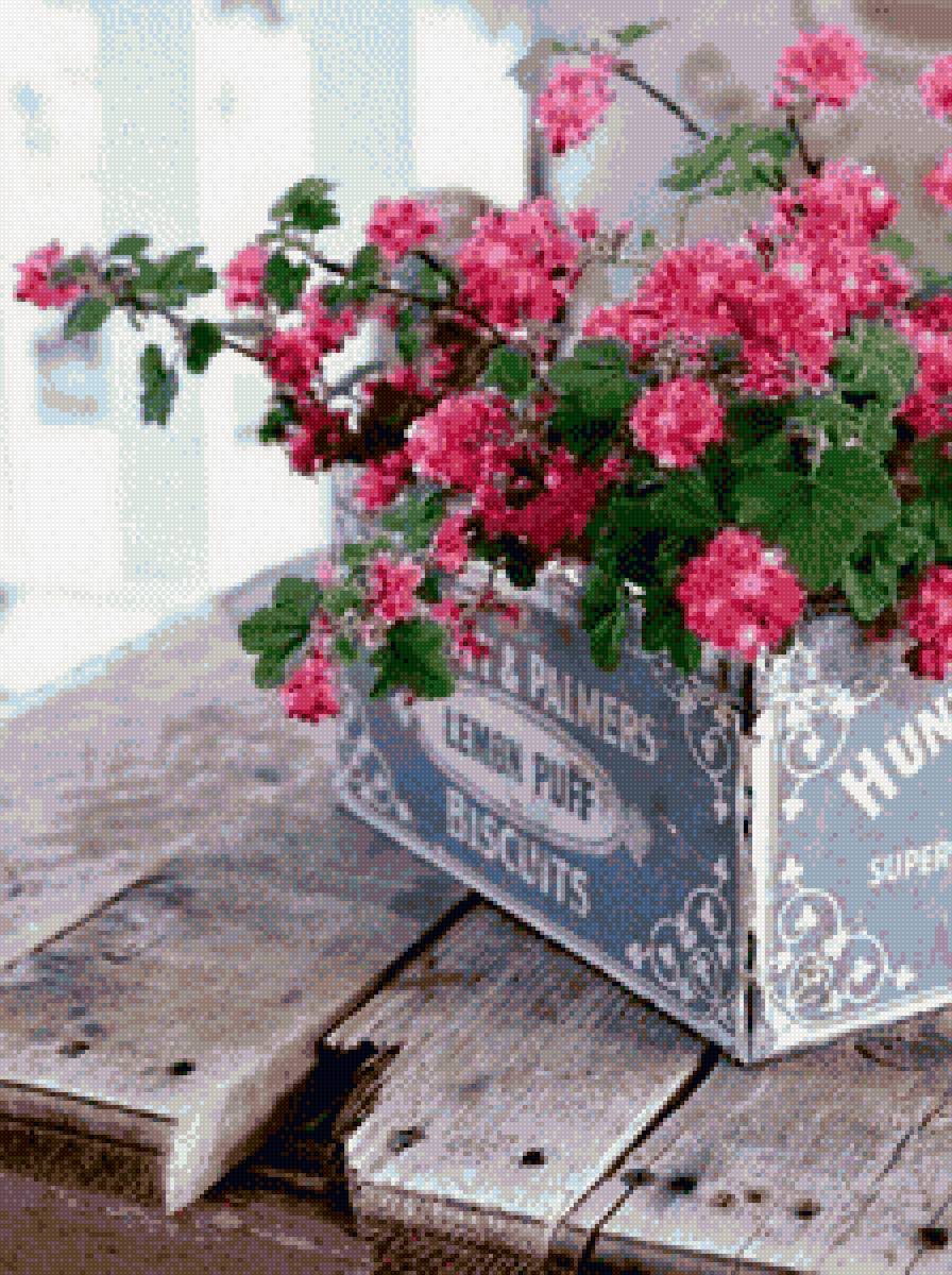 Цветы - розовый, цветы, нежность, красота - предпросмотр