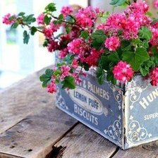 Схема вышивки «Цветы»