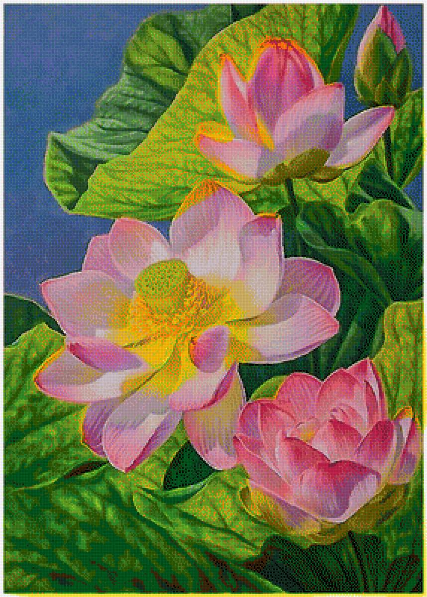 Лотос - предпросмотр