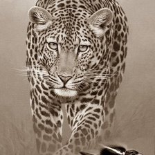 Схема вышивки «Леопард»