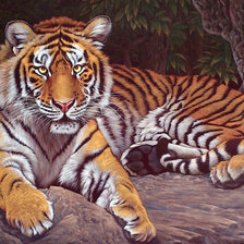 Схема вышивки «Тигр»