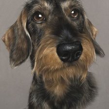 Схема вышивки «Мир животных»