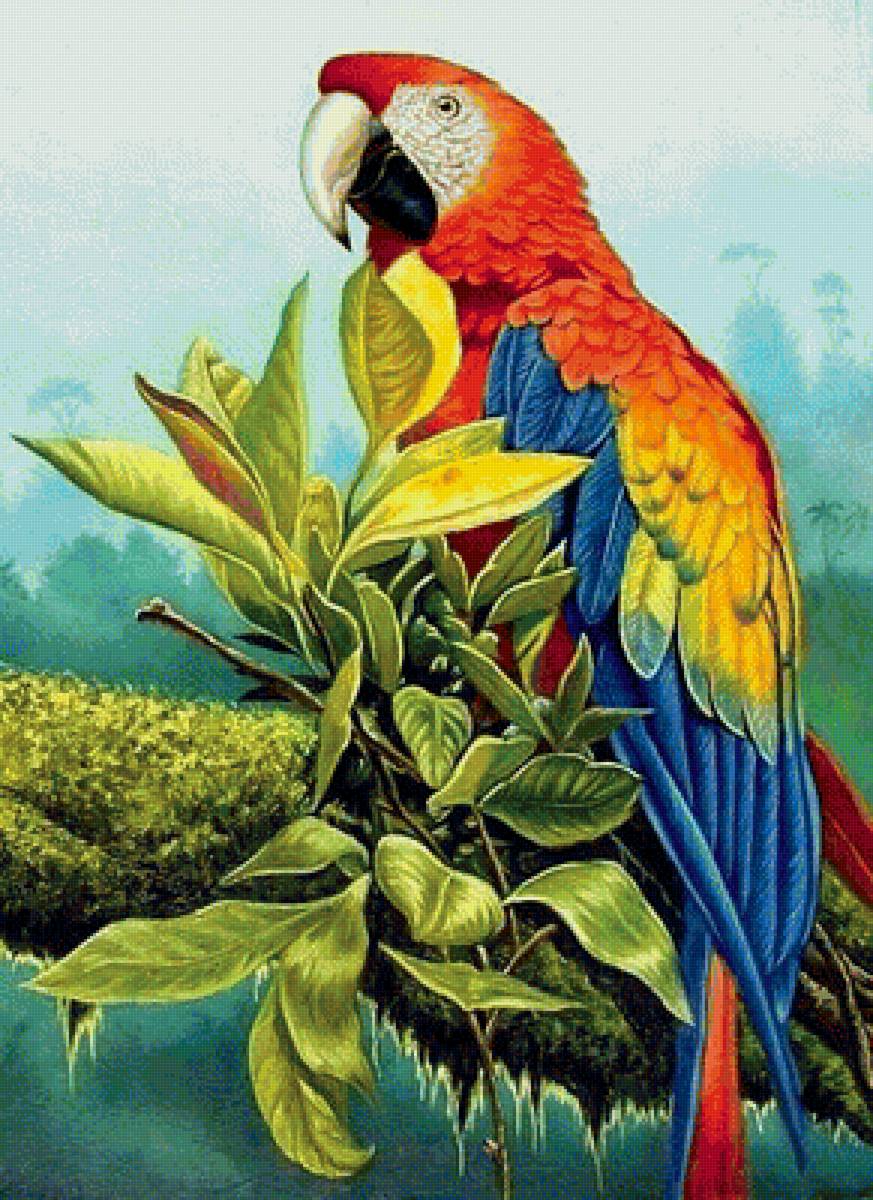Мир птиц - попугай, ара, дерево, птицы - предпросмотр
