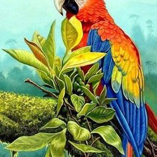 Схема вышивки «Мир птиц»