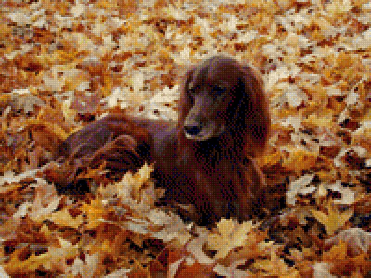 Рикки - предпросмотр