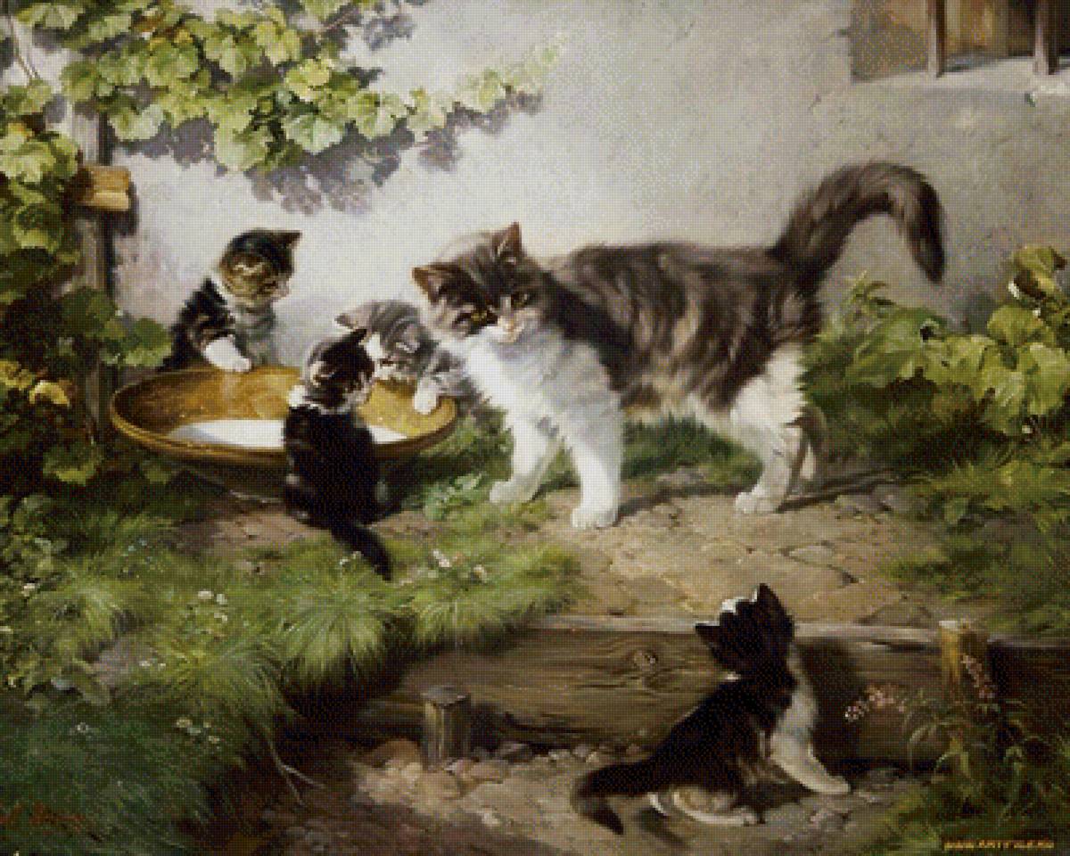 КОШКИ - предпросмотр