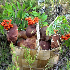 Схема вышивки «корзина»