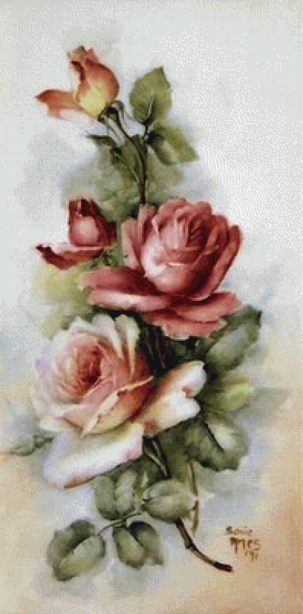 роза2 - предпросмотр