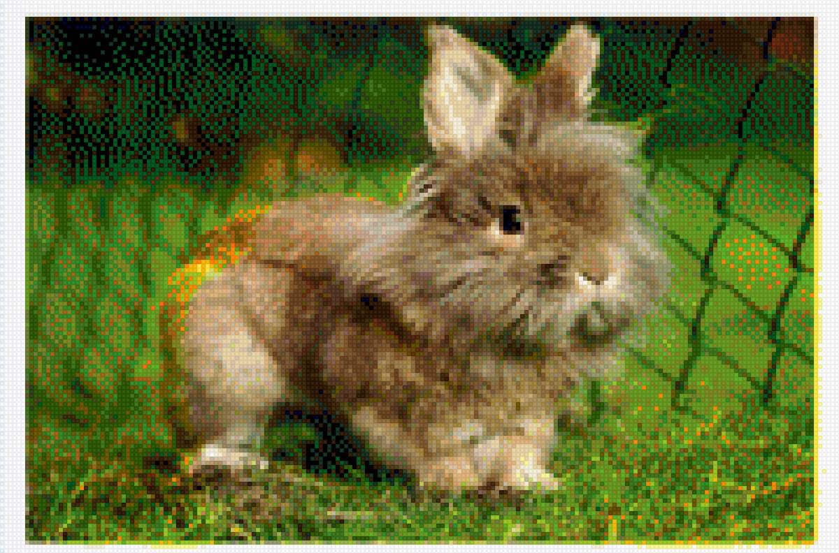 Кролик - животные, кролик - предпросмотр