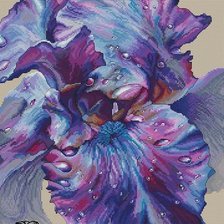 Схема вышивки «ирис2»