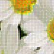 Предпросмотр схемы вышивки «ромашки» (№1728284)