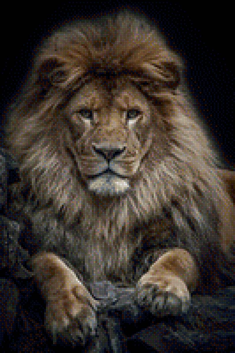 лев - большие кошки, животное, лев - предпросмотр