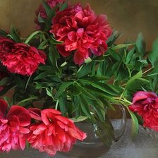 Схема вышивки «пионы»