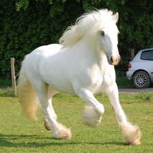 Схема вышивки «Белая лошадь»