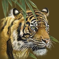 Схема вышивки «мир животных»