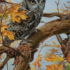 Схема вышивки «Филин»