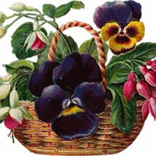 Схема вышивки «фиалочки»