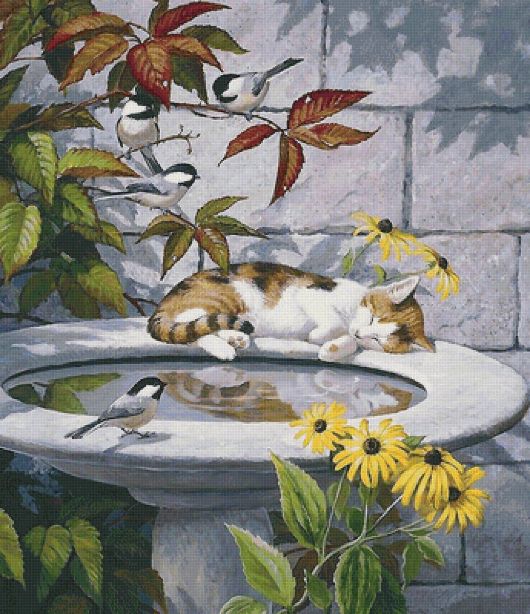 кот - кот - предпросмотр