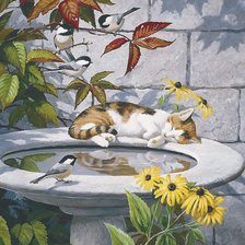 Схема вышивки «кот»