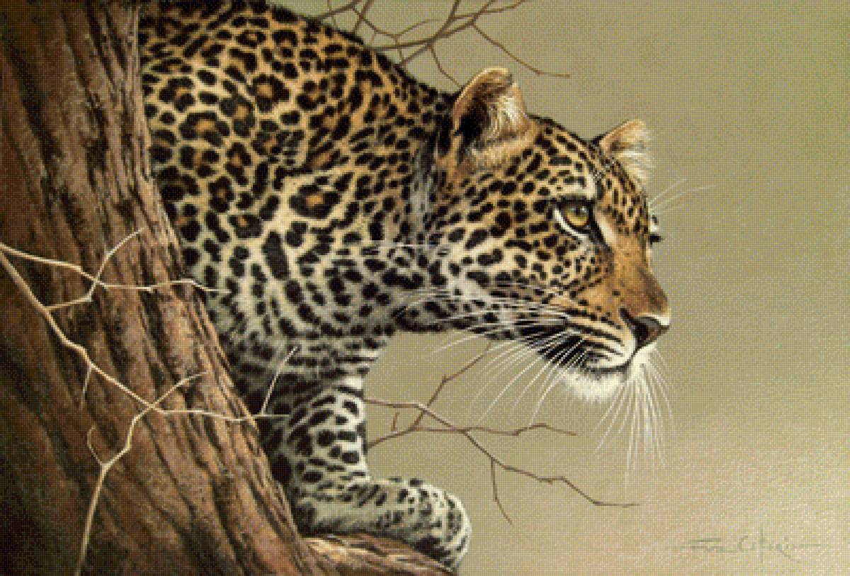 Леопард - животные, звери - предпросмотр