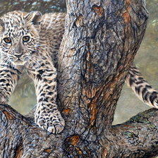 Схема вышивки «Детеныш»