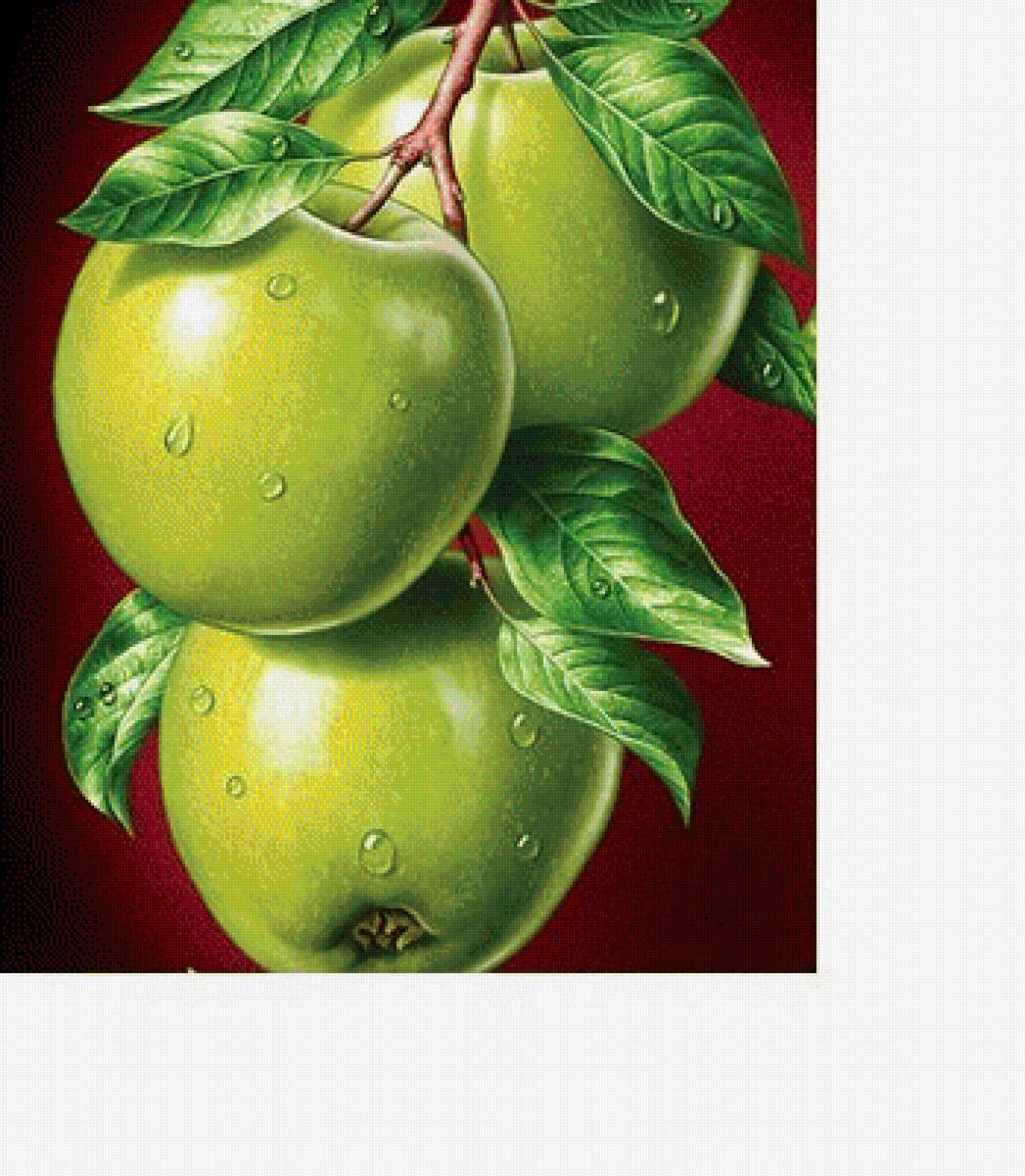 яблоки - предпросмотр