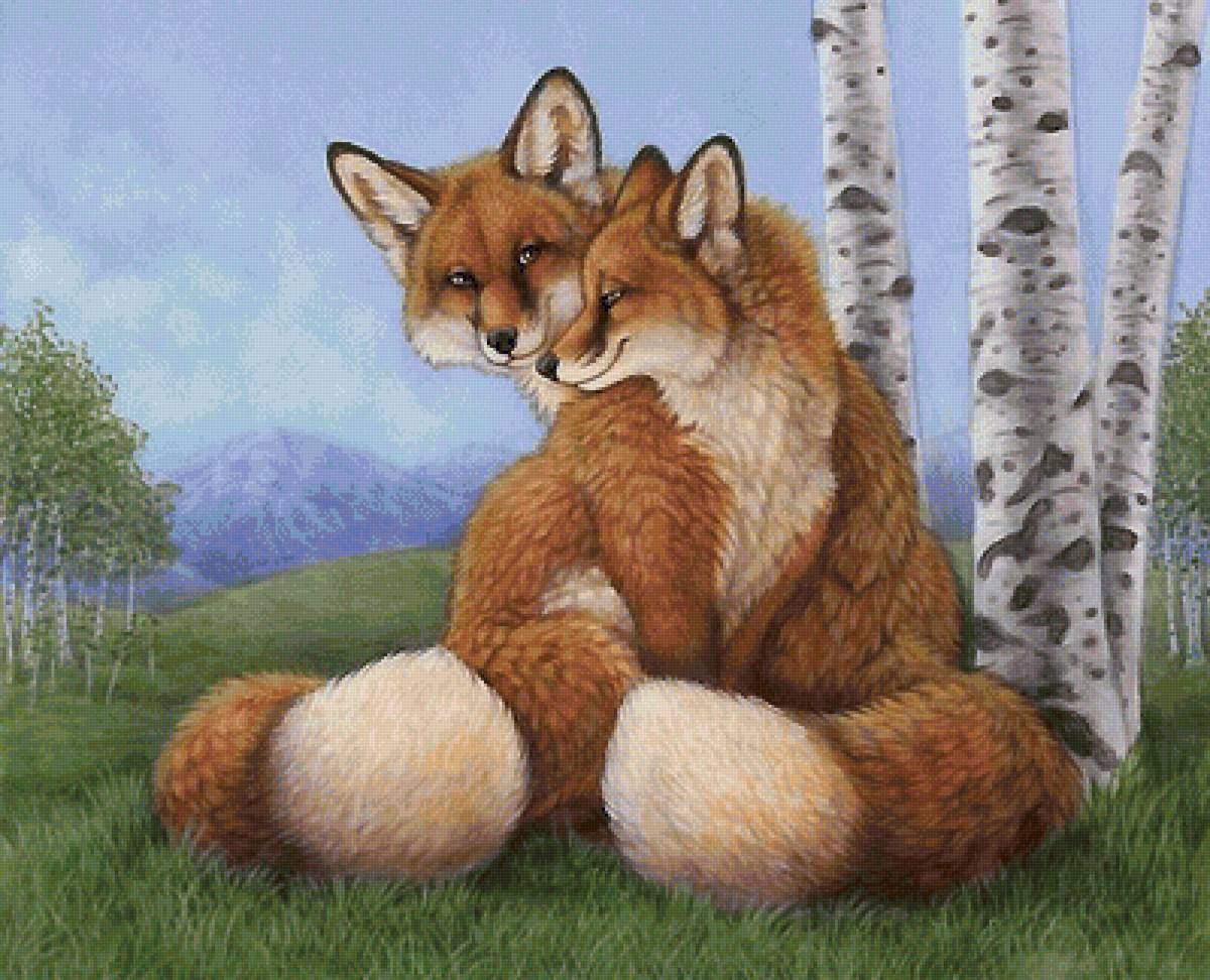 Лисы - предпросмотр