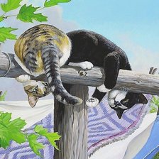 Схема вышивки «коты»