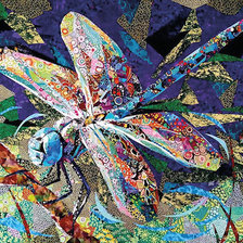 Схема вышивки «стрекоза»
