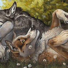 Схема вышивки «Волки»